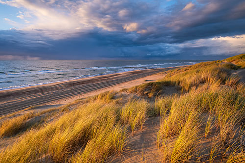Gouden duinen bij Burgh-Haamstede
