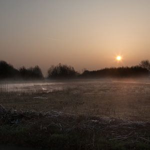 Mystiek landschap