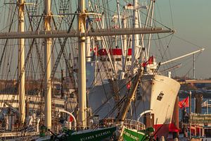 Rickmer Rickmers und Cap San Diego, Hamburg