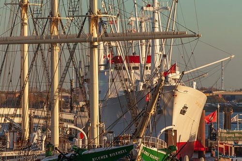 Rickmer Rickmers und Cap San Diego, Hamburg
