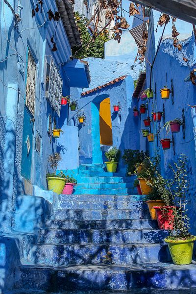 50 tinten blauw by Stefania van Lieshout