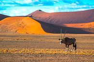 Gemsbok voor de rode duinen in de Sossusvlei, Namibië van Rietje Bulthuis thumbnail