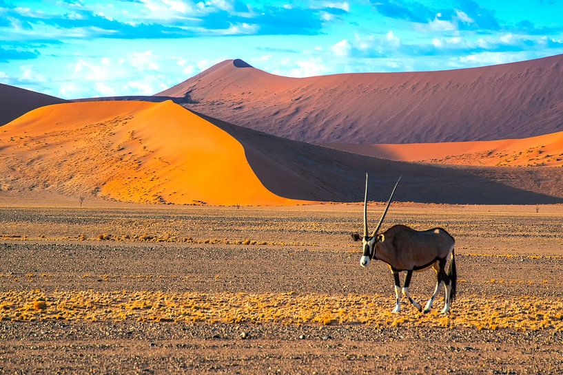 Gemsbok voor de rode duinen in de Sossusvlei, Namibië van Rietje Bulthuis