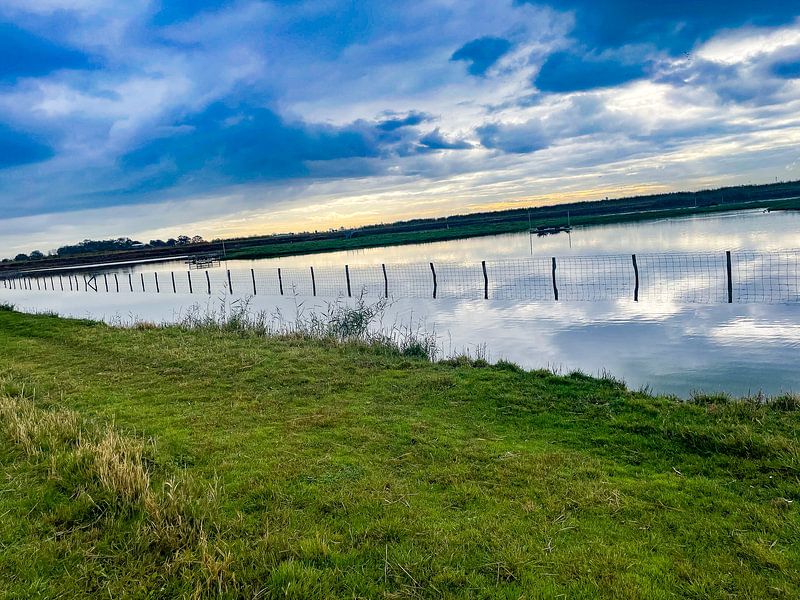 Paradis des oiseaux par Truckpowerr