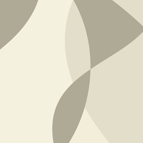 Abstracte organische vormen in neutrale kleuren nr. 10