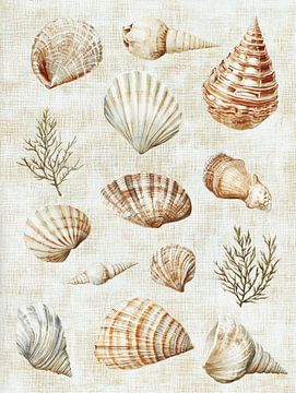 Shell collection by Franka Poulain