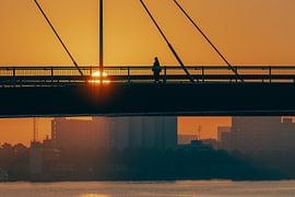 The early walk by Jelte Lagendijk