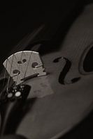 Detail Viool