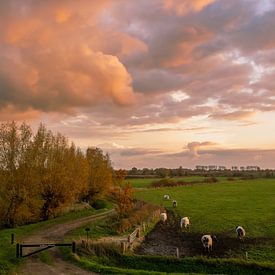 Gelderse Waard in laat avondlicht van Gert van Eck