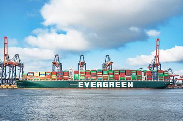 Container ship Ever Golden of Evergreen Lines at the container terminal by Sjoerd van der Wal
