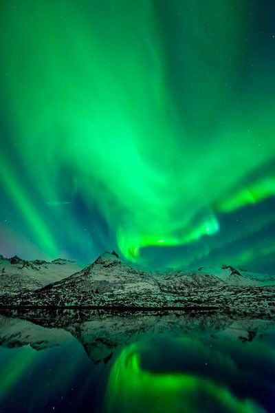 Aurores boréales, aurores boréales ou aurores boréales dans le ciel nocturne au-dessus des îles Lofo par Sjoerd van der Wal Photographie