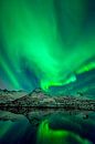 Aurores boréales, aurores boréales ou aurores boréales dans le ciel nocturne au-dessus des îles Lofo par Sjoerd van der Wal Photographie Aperçu