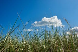 Strand an der Ostsee bei Graal Müritz
