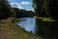 Stromend water in een rivier in de bossen van de Amsterdamse waterleidingduinen