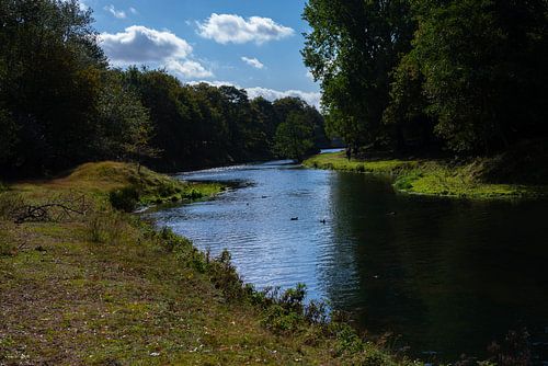 Fließendes Wasser in einem Fluss in den Wäldern der Amsterdamer Wasserversorgungsdünen
