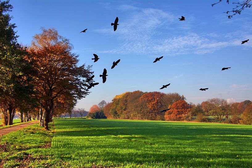 Vue du pays par Edgar Schermaul