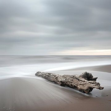 Minimalistische strandfotografie - rust aan zee met drijfhout van Poster Art Shop