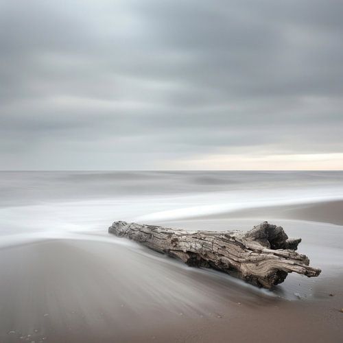 Minimalistische strandfotografie - rust aan zee met drijfhout