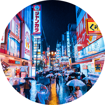 Osaka in de regen van Tom Rijpert