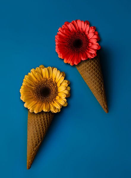 Saveur florale - cônes de glace avec des fleurs par l'artiste Studio  byMarije