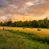Landschap met hooibalen tijdens zonsondergang van Kok and Kok