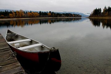 Pure Canada sur Naomi Kroon