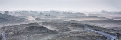 Kronenbunker in den Grave Dunes