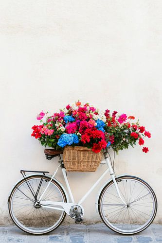 Blumenkorb auf Fahrrad dekorativ