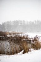 Winter aan de uiterwaarden van de ijssel