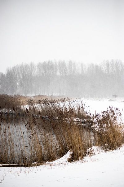Winter in den Vorländern der Ijssel von Thomas Winters