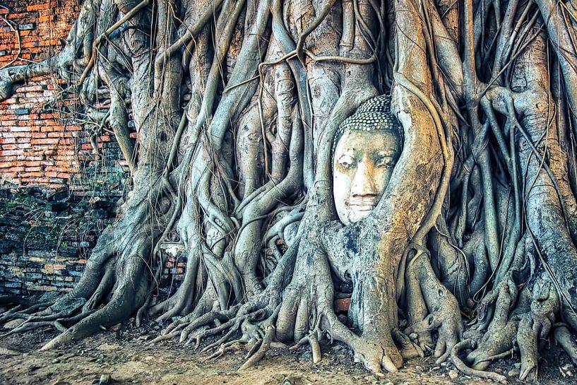 Wat Maha That von Manjik Pictures