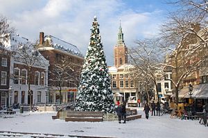 Kerstboom in Den Haag in de Sneeuw