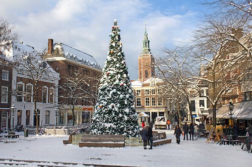 Kerstboom in Den Haag in de Sneeuw