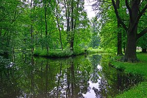 Spreewald - Impression