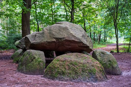 Hunebed Dolmen D11 in the Evertsbos in Drenthe