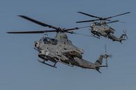 Twee Bell AH-1Z Viper aanvalshelikopters! van Jaap van den Berg thumbnail