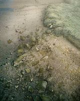 Brittany Coast