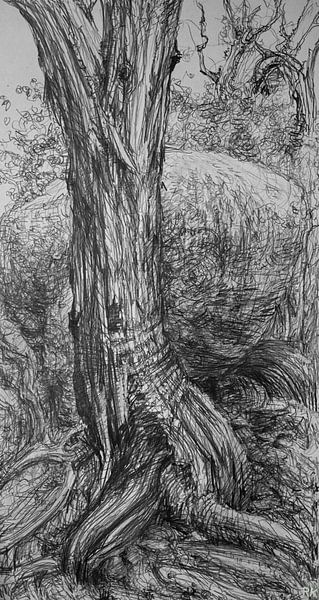 Sauvages en noir et blanc par KB Prints