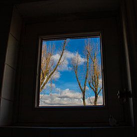 die Aussicht von Reinier de Rooie