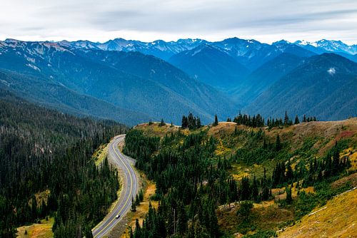 Snow tops, Washington State