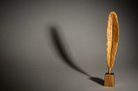 Golden feather