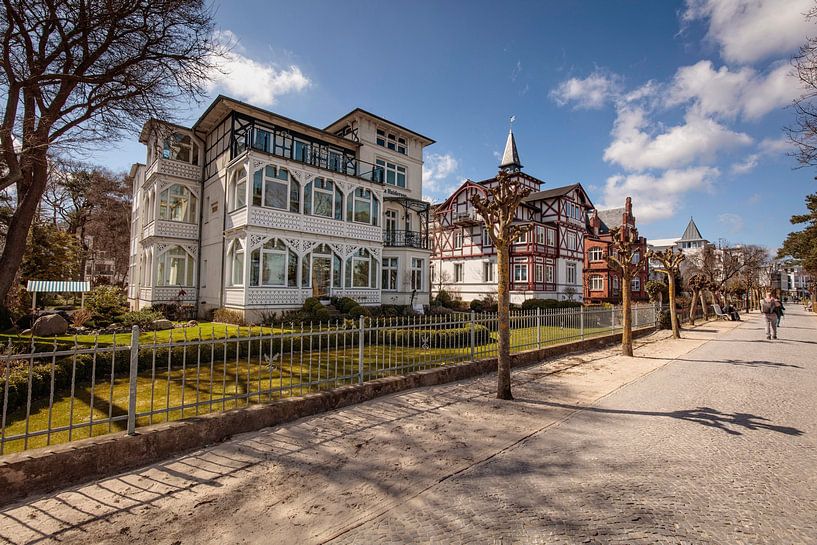 Binz by Rob Boon