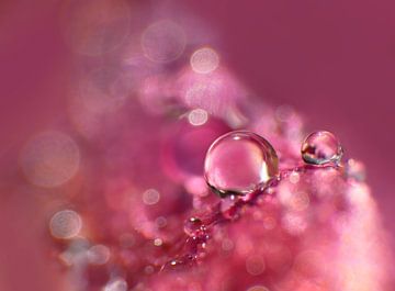 Violet Drops (Druppels in violet met bokeh) van Caroline Lichthart