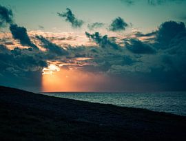 Window of Mother Nature by Marjon Boerman