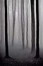Bomen zwart wit van Renato Daub thumbnail