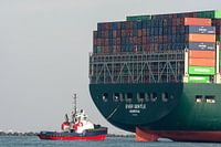 Sleepboot in actie in de haven Rotterdam.
