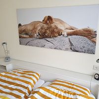 Klantfoto: Op safari in Afrika:  Slapende leeuwen op een kopje in de Serengeti, Tanzania van RKoolspics, op canvas