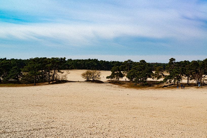 Loonse and Drunense Dunes by Truckpowerr