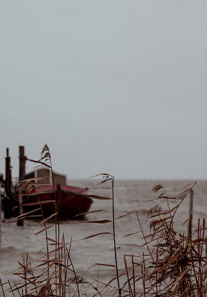 Volendam, The Netherlands by inez