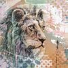 Série Big Five - lion - œuvre d'art mixte colorée sur Emiel de Lange